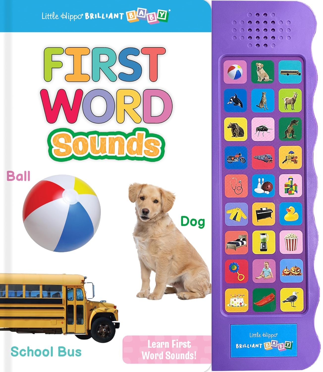 Little Hippo Books Listen and Learn First Words Book | Preschool Educational Sound Books for Kids | Brilliant Baby Educational Books & Kids Books | … (Brilliant Baby® Early Learning Collection)