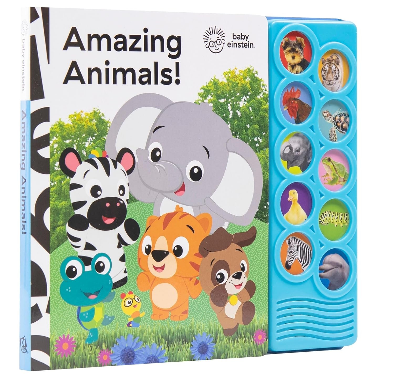 Baby Einstein – Amazing Animals 10-Button Sound Book – PI Kids (Play-A-Sound)